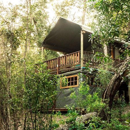 Fernhill Tented Treehouses Rheenendal Zewnętrze zdjęcie