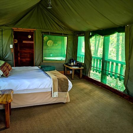 Fernhill Tented Treehouses Rheenendal Zewnętrze zdjęcie
