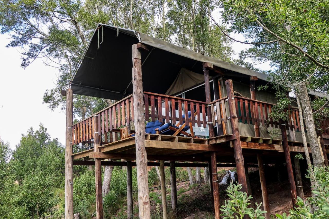 Fernhill Tented Treehouses Rheenendal Zewnętrze zdjęcie