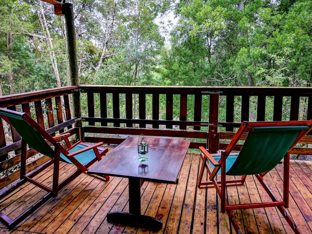 Fernhill Tented Treehouses Rheenendal Zewnętrze zdjęcie