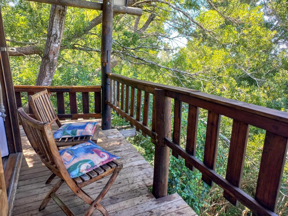 Fernhill Tented Treehouses Rheenendal Zewnętrze zdjęcie