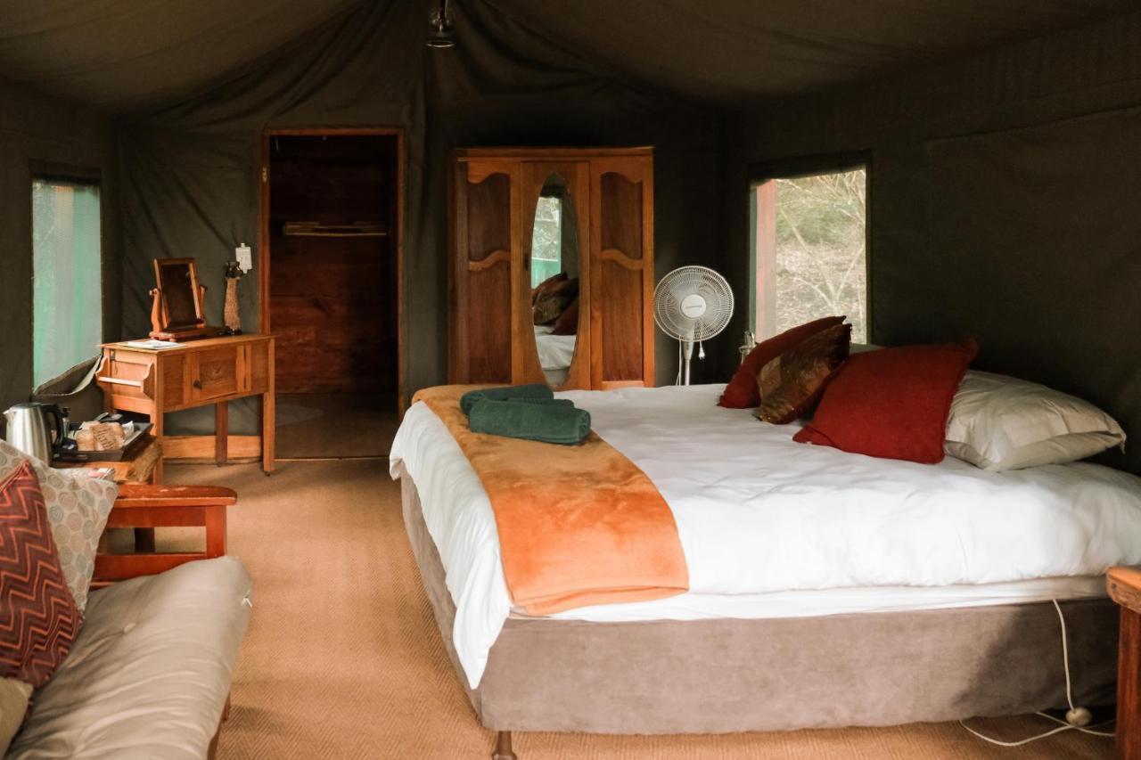 Fernhill Tented Treehouses Rheenendal Zewnętrze zdjęcie
