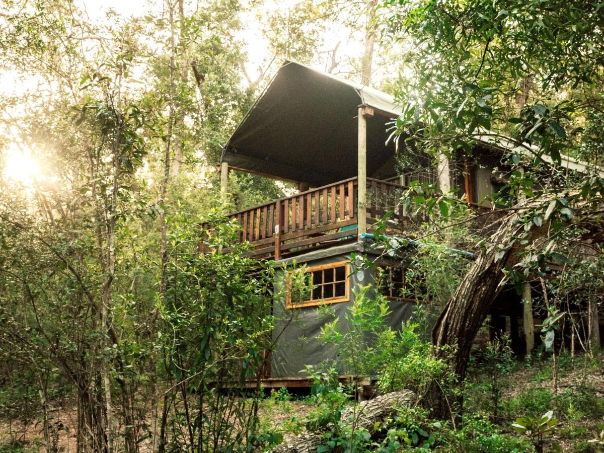 Fernhill Tented Treehouses Rheenendal Zewnętrze zdjęcie
