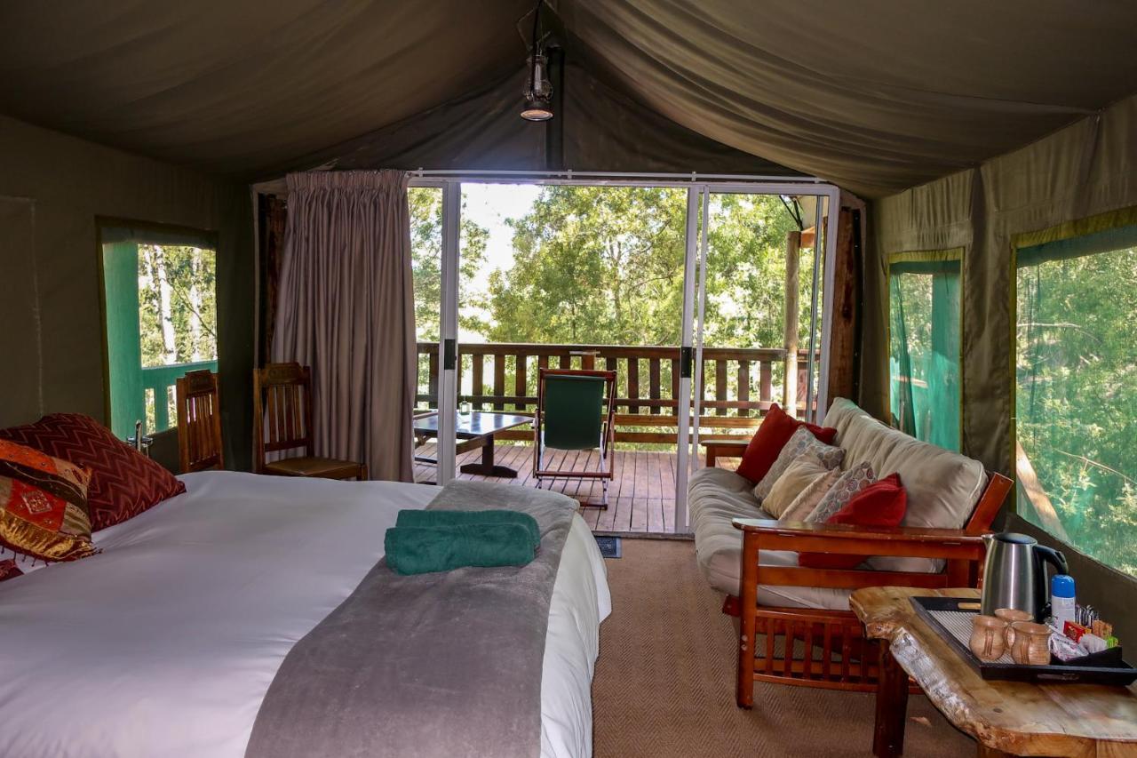 Fernhill Tented Treehouses Rheenendal Zewnętrze zdjęcie
