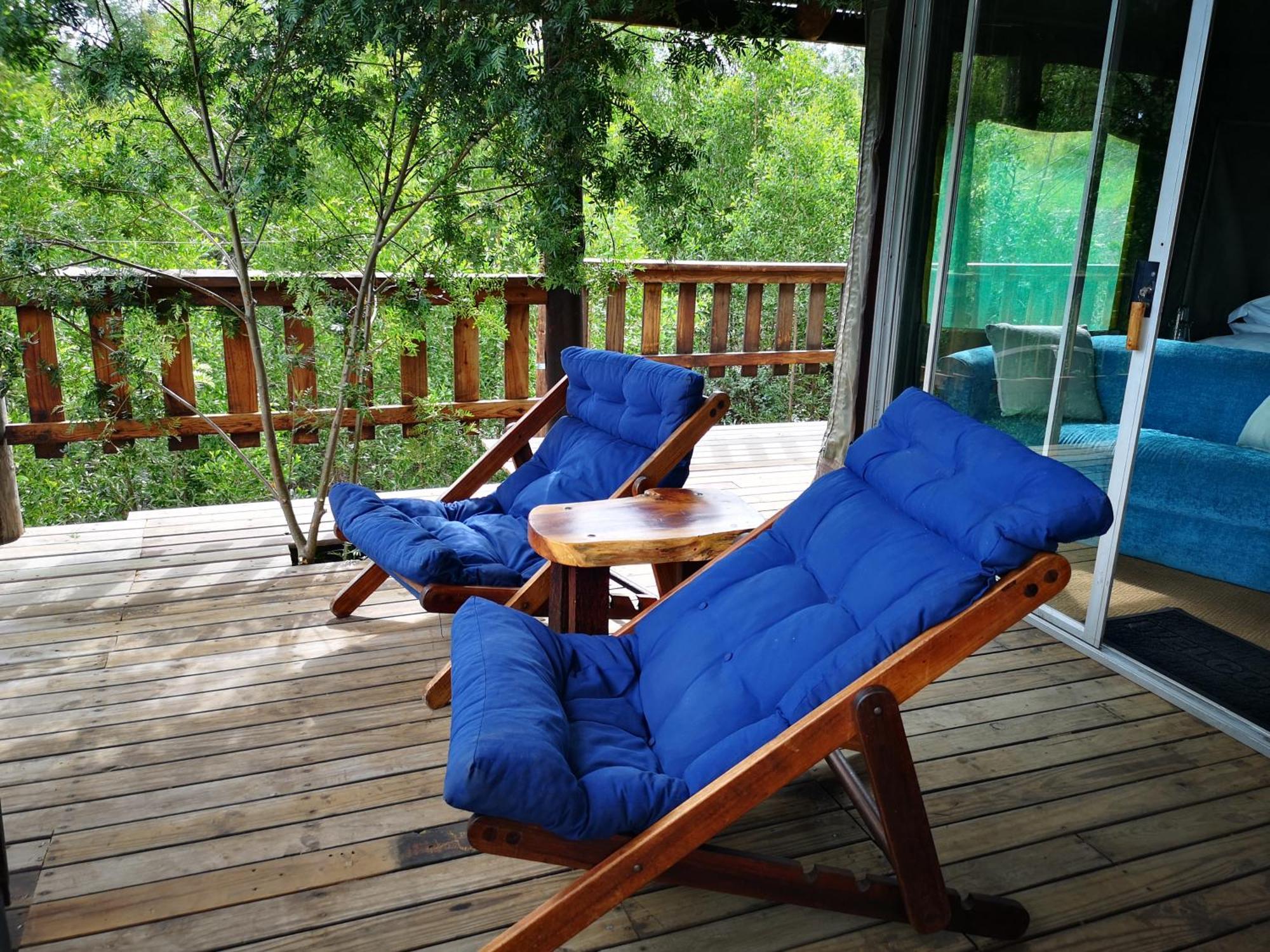 Fernhill Tented Treehouses Rheenendal Pokój zdjęcie