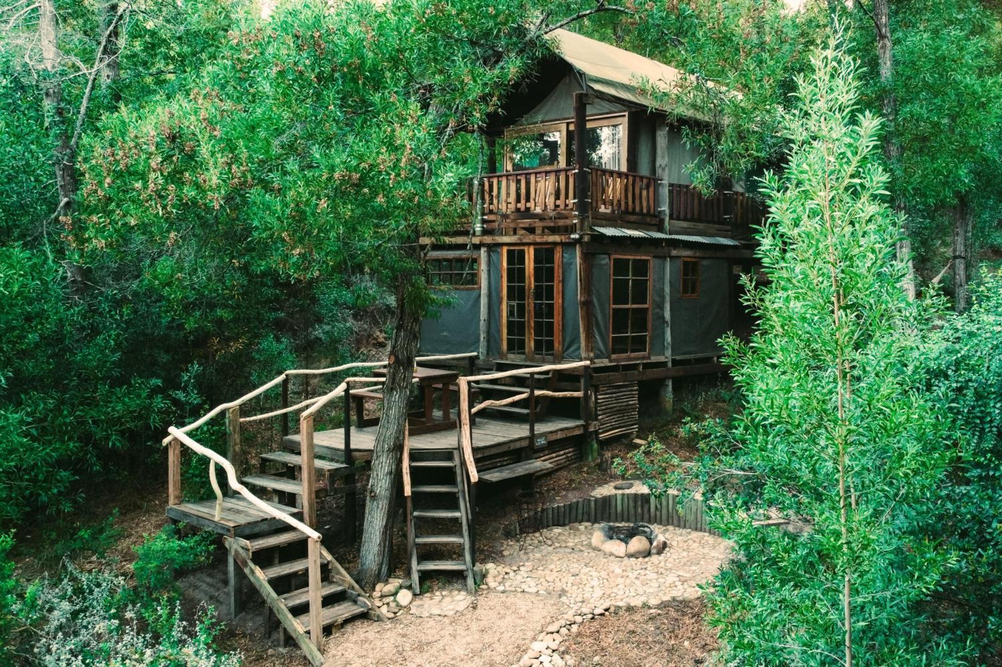 Fernhill Tented Treehouses Rheenendal Zewnętrze zdjęcie