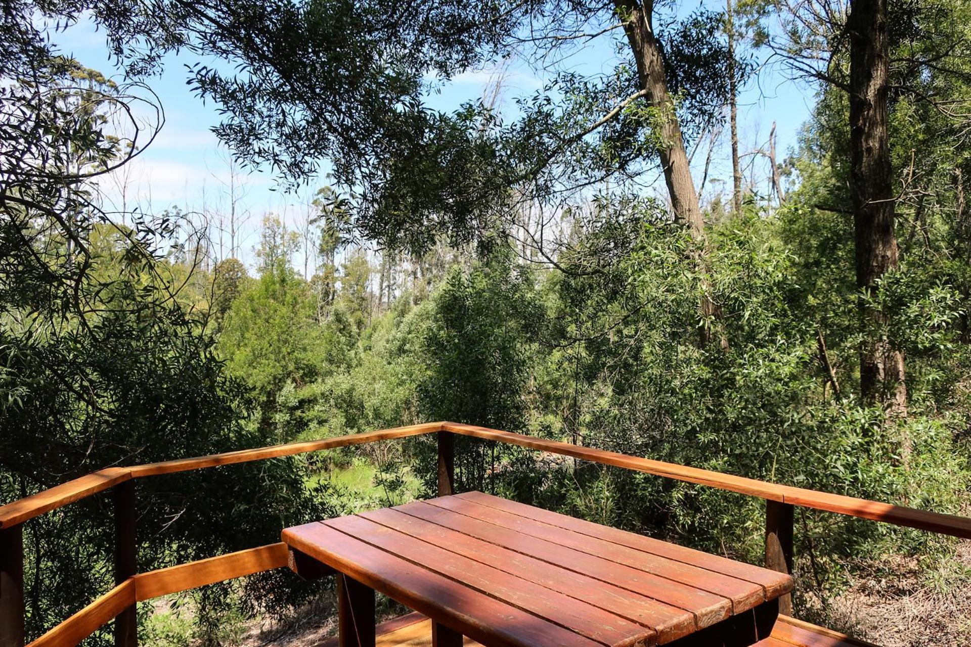 Fernhill Tented Treehouses Rheenendal Zewnętrze zdjęcie